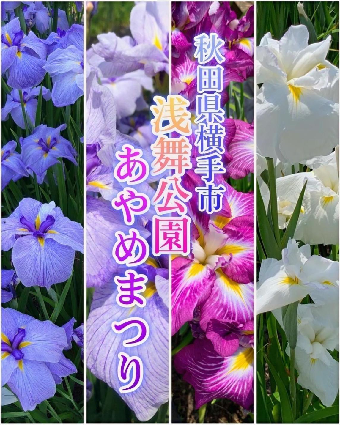 Hotel Dolphia-Adult Only Daisen  Экстерьер фото