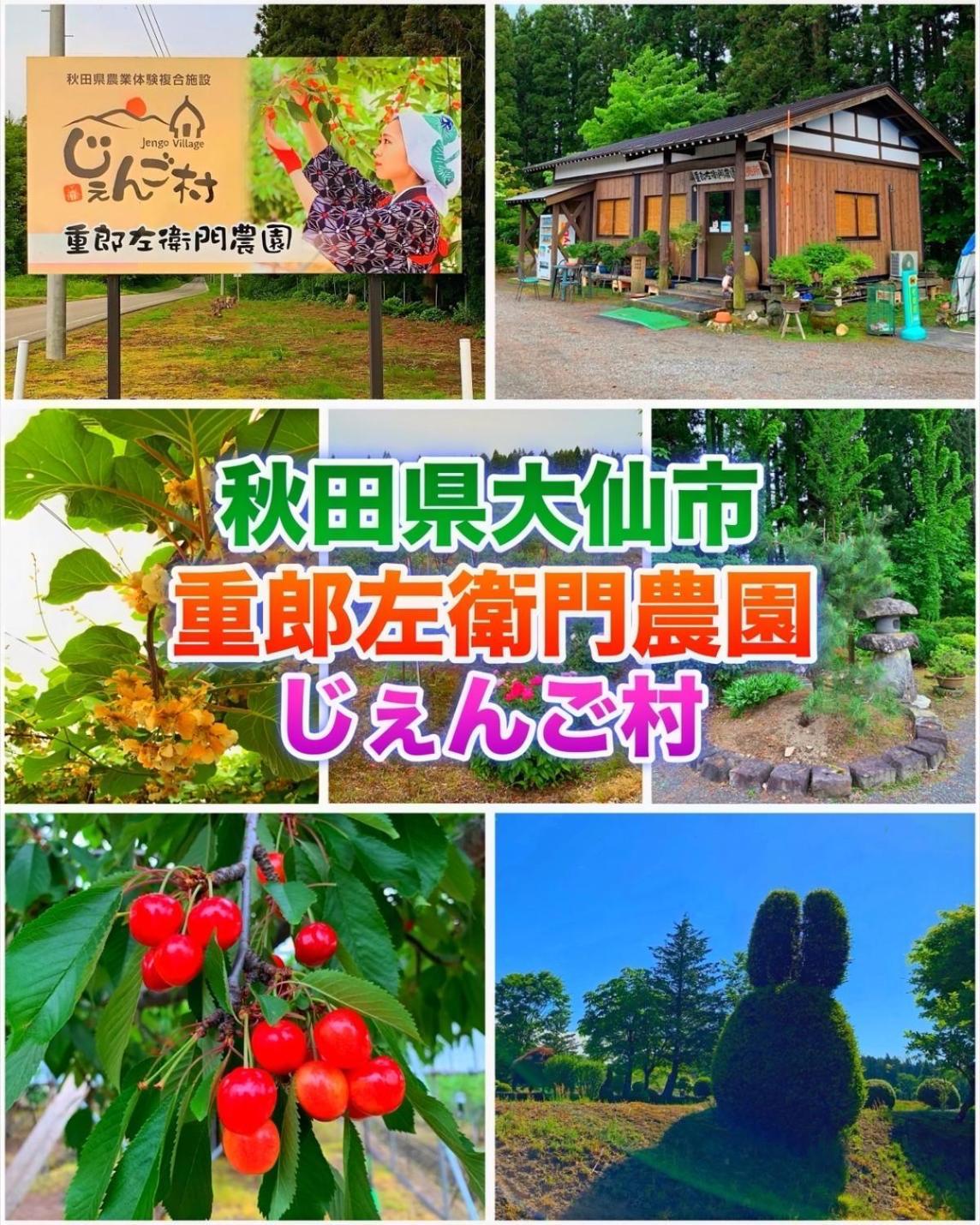Hotel Dolphia-Adult Only Daisen  Экстерьер фото